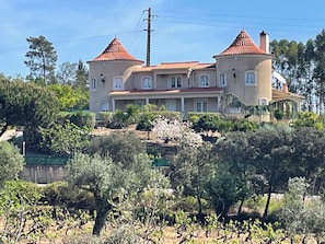 Exterior - Very nice villa with swimming pool 3 suite 3 bedrooms (between OUREM - FATIMA ) (Ourém)