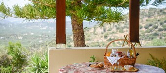 Villa Karmilos - A family Villa near the cretan sea and the mountains