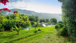 A lush green landscape with a clear path leading to a bridge over a body of water, surrounded by vegetation and mountains in the background.