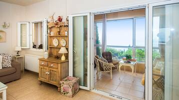 TV connectée, cheminée, livres