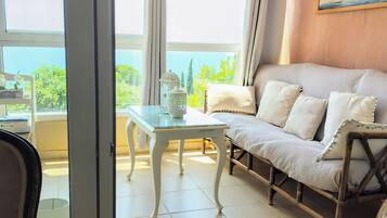 智能電視、壁爐、書籍