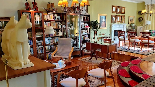 A cozy living room with a fireplace, bookshelves, and a large white sculpture. - Beautiful house close to Thessaloniki (Κύμινα)