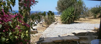 elea  apartment   gm