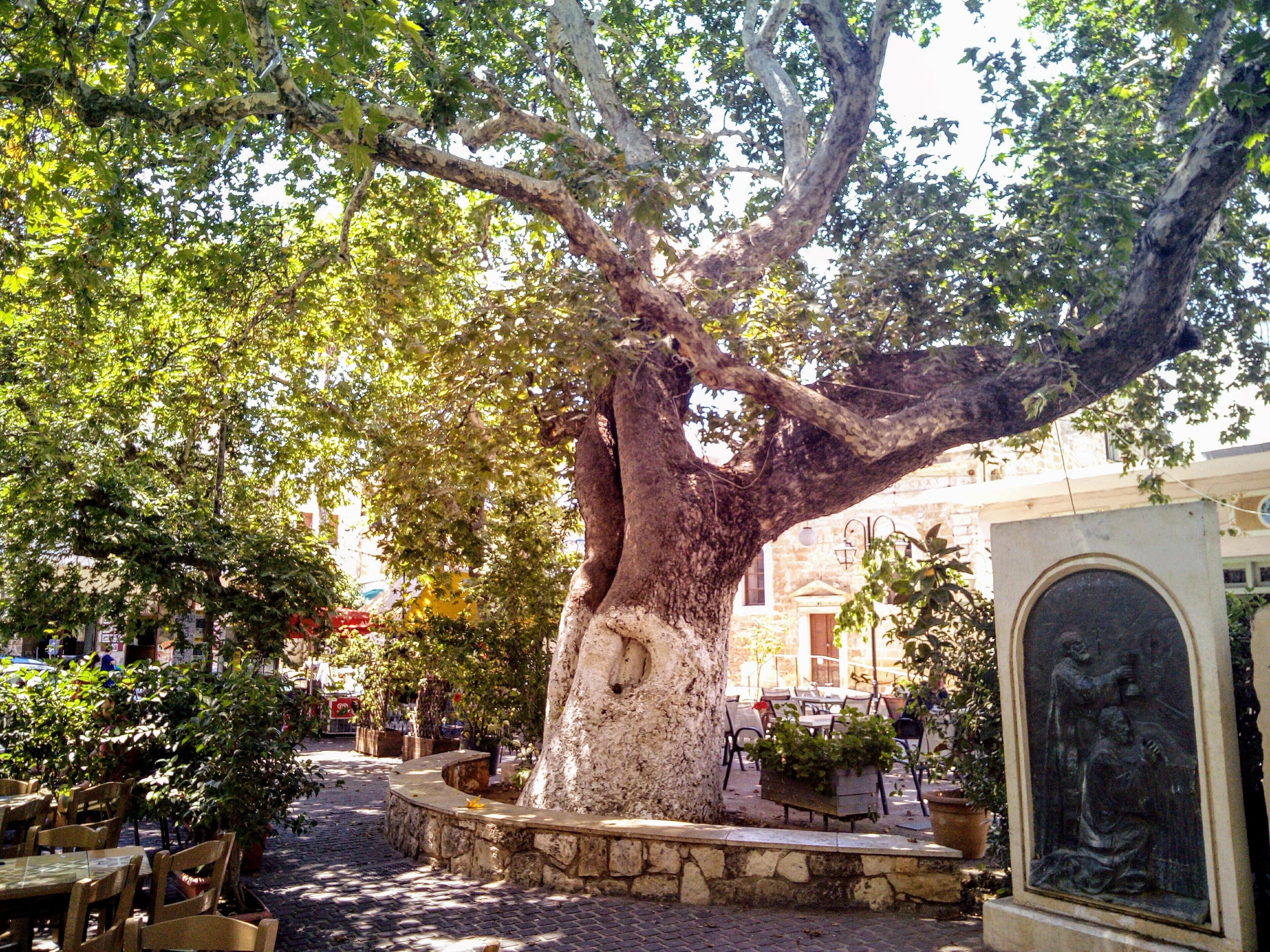 Servei de restauració a l'aire lliure