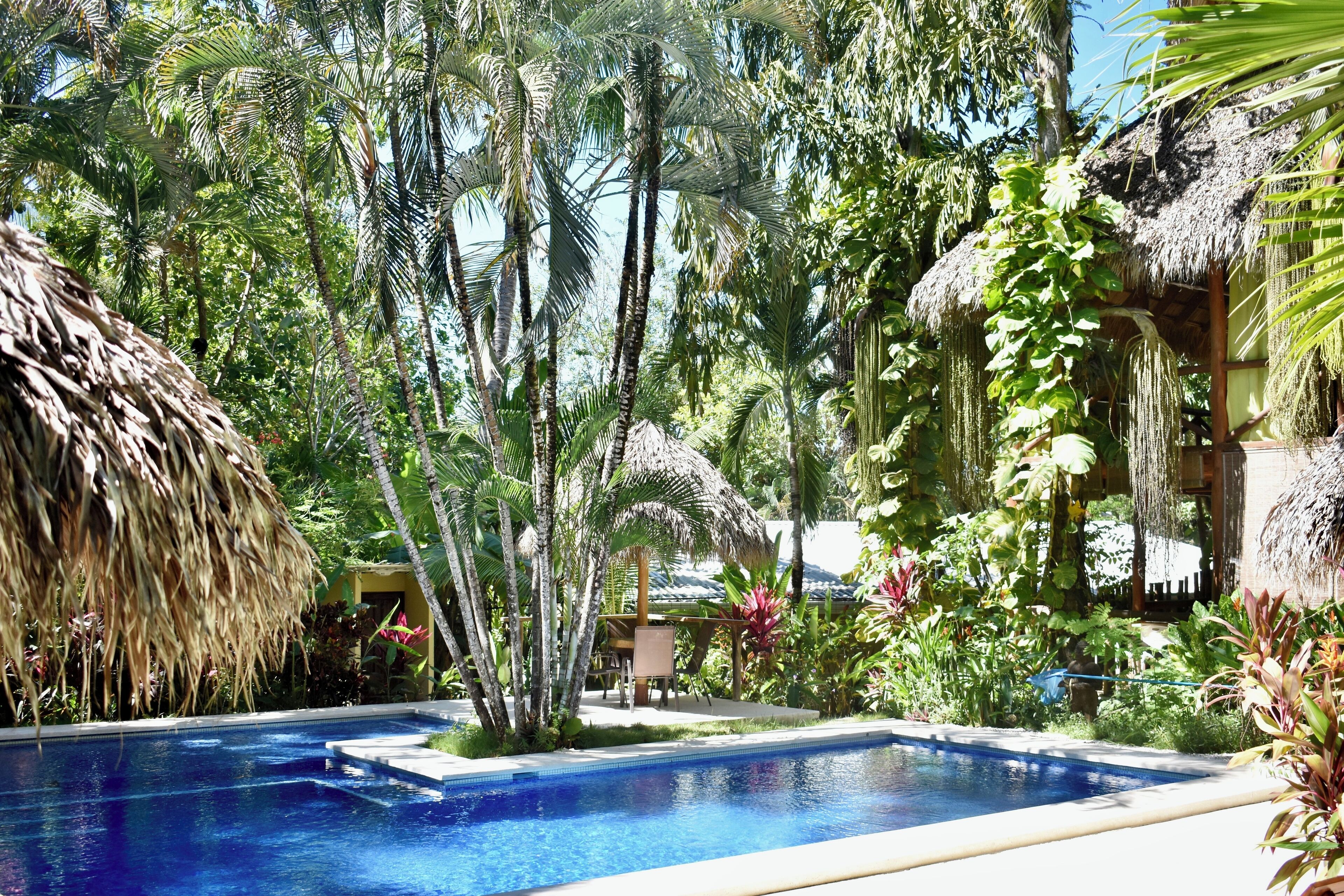 A pool surrounded by lush tropical vegetation and thatched-roof structures.