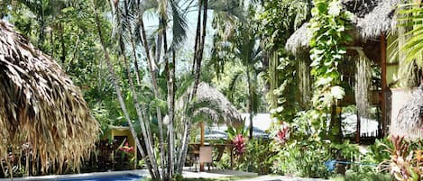 Una piscina rodeada de exuberante vegetación tropical y construcciones con techo de paja.