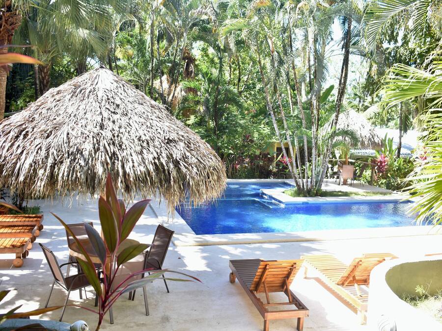 Uma área de piscina com guarda-sol de palha, espreguiçadeiras e plantas tropicais.