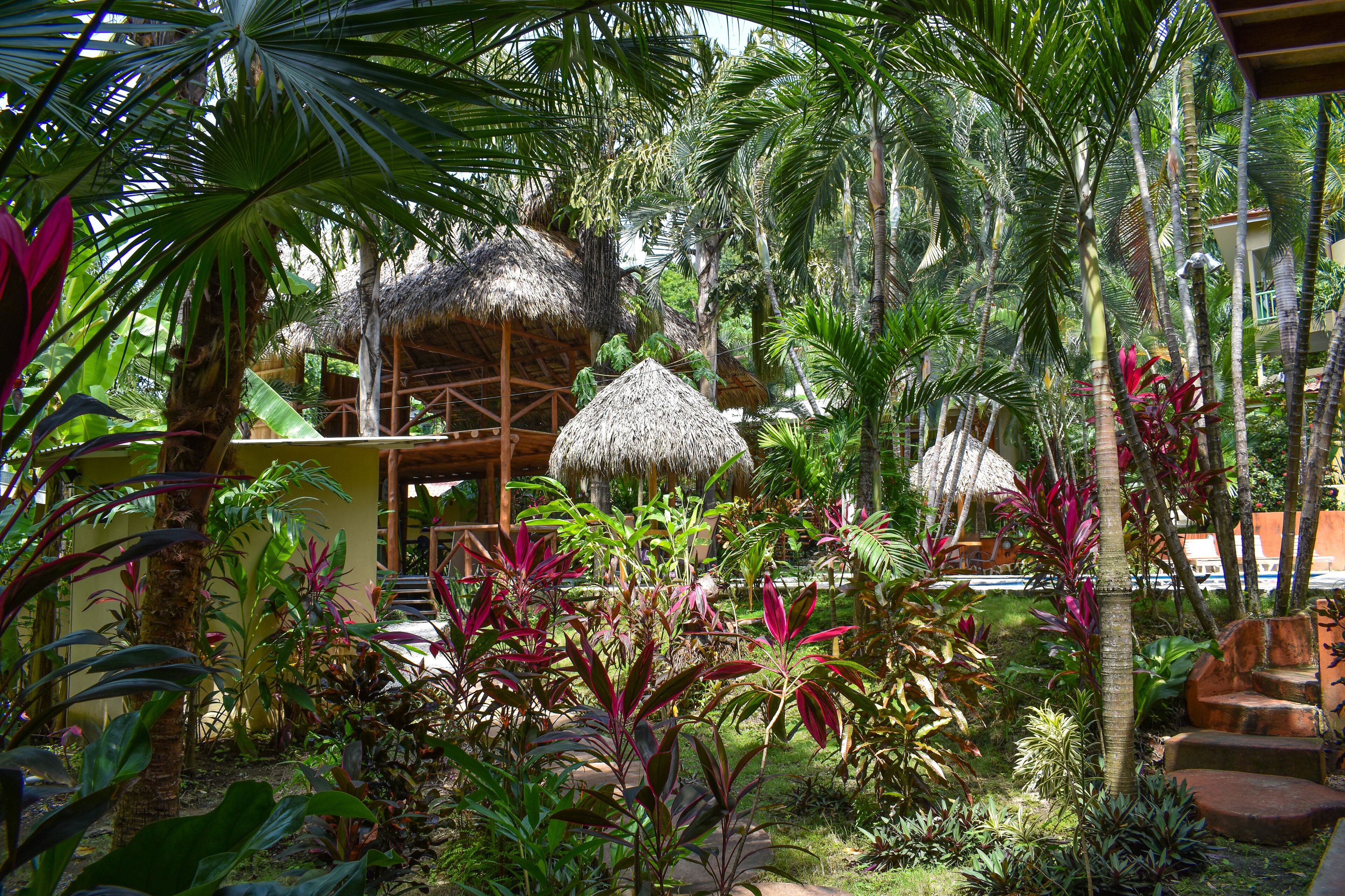 Taman