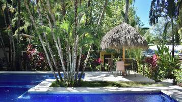 Outdoor pool, pool loungers