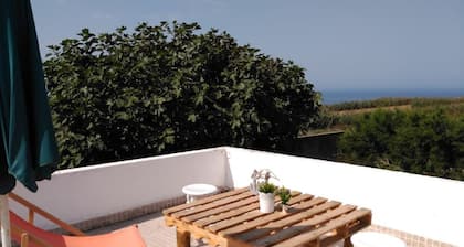 Tia RosĂĄrio Casita Ă LourinhĂŁ