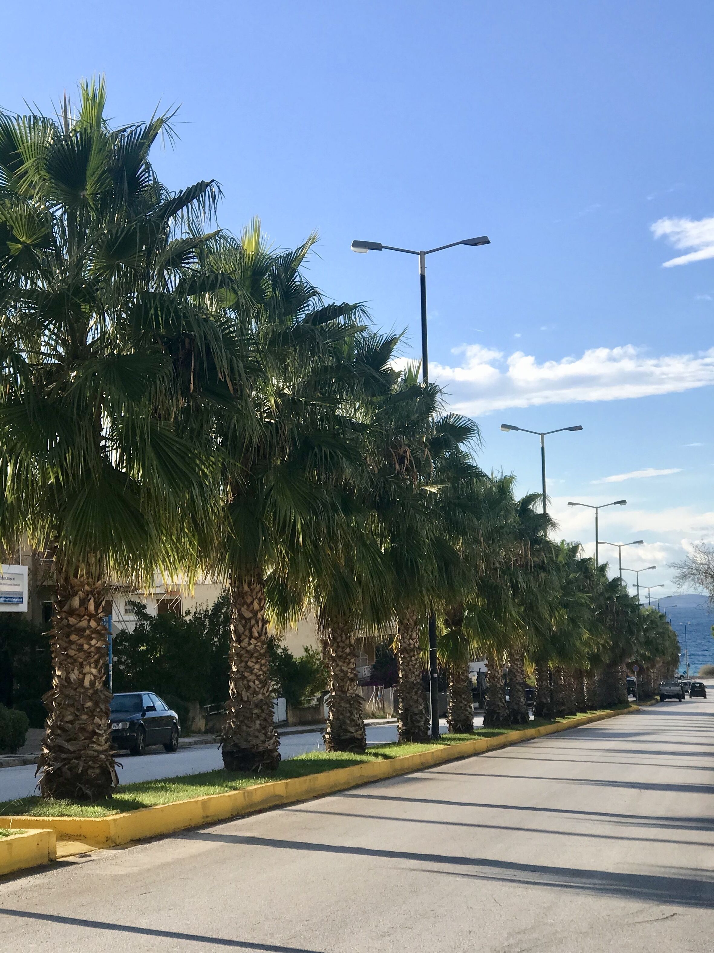 Une rue bordée de palmiers et illuminée de lampadaires, avec des voitures garées le long du trottoir.