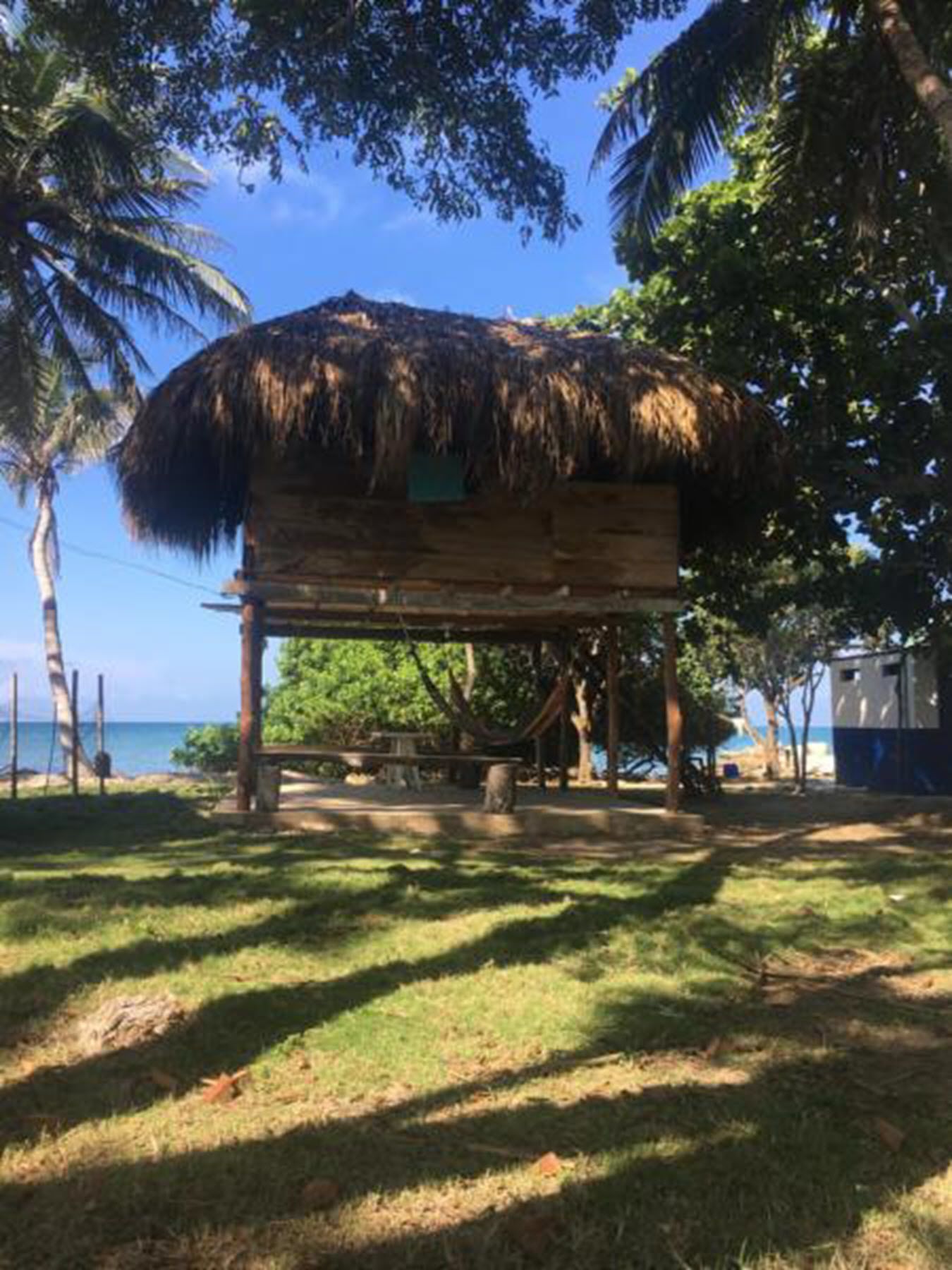 Una cabaña con techo de paja y una plataforma de madera, rodeada de palmeras y un área con césped.