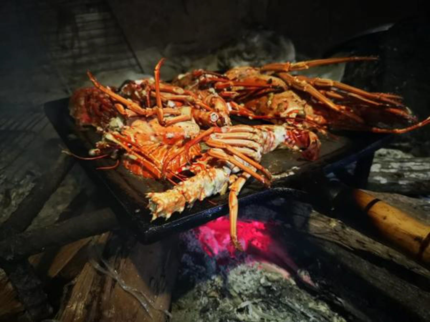 A grill with multiple lobsters cooking over an open flame.