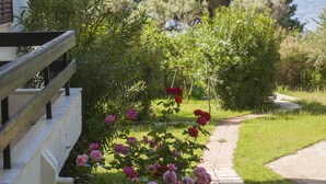 A pathway lined with pink flowers leading to a building with a white exterior and a balcony. - Daniil's Seafront Apartment  (Νικήτη)