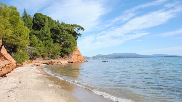A beach with clear waters, a sandy shore, and a rocky cliff with trees. - Daniil's Seafront Apartment  (Νικήτη)