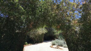 A gravel path surrounded by dense foliage and trees. - Private Villa With Pool Near Golf Course Short Drive to Beach (Unknown)