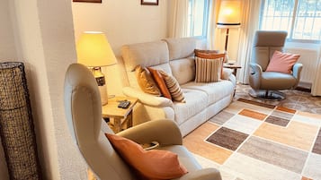 TV connectée, cheminée, lecteur de DVD, livres