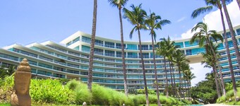 Peninsula Nuevo Vallarta