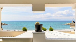Un balcón con una maceta de cactus, vista al mar y un litoral rocoso.