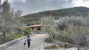 Un sendero de piedra que lleva a un edificio rodeado de árboles y arbustos.