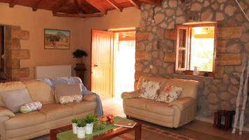 Een televisie, een open haard, een dvd-speler en boeken