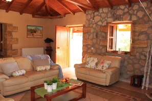 Televisión, chimenea, reproductor de DVD, libros