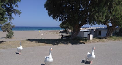 Arch Villa traditional holiday house on Rhodes