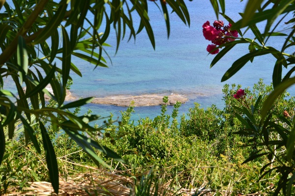 Beautiful view from the shore... Spartia Kefalonia Greece vacations