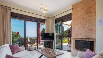 TV, fireplace, video games, DVD player