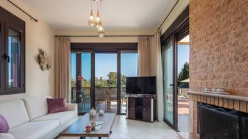 TV, fireplace, video games, DVD player