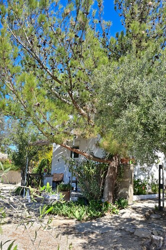 To spiti tou Papa sto vouno. Garden house.