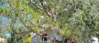 To spiti tou Papa sto vouno. Garden house.