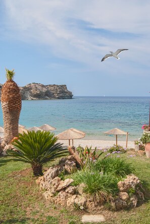 A beach with umbrellas, a palm tree, and a seagull flying. - The Beachfront apartment is part of the Villa Omega complex at Lygaria Beach. (Αγία Πελαγία)