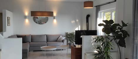 Smart TV, DVD player, books, music library