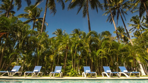 A poolside area with lounge chairs and palm trees. - Playa Junquillal Eco Resort (Santa Cruz)