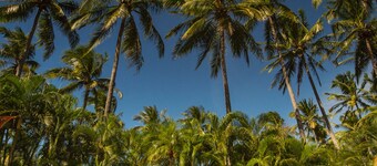 Playa Junquillal Eco Resort