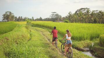 Two people riding bicycles on a narrow path through a lush green field with a small stream on the side.