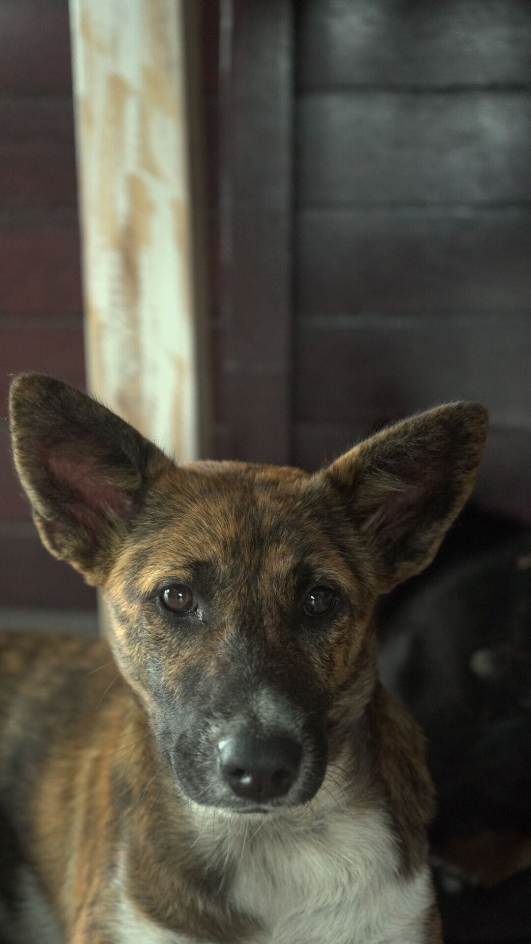 Foto - Kayangan Villa Ubud