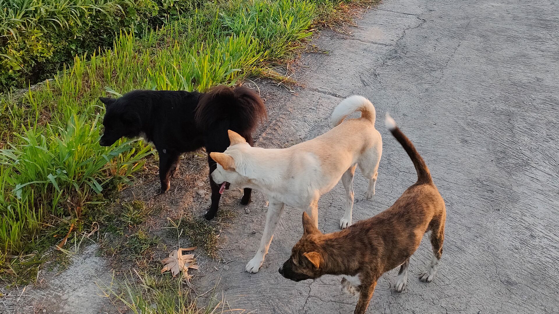 Foto - Kayangan Villa Ubud