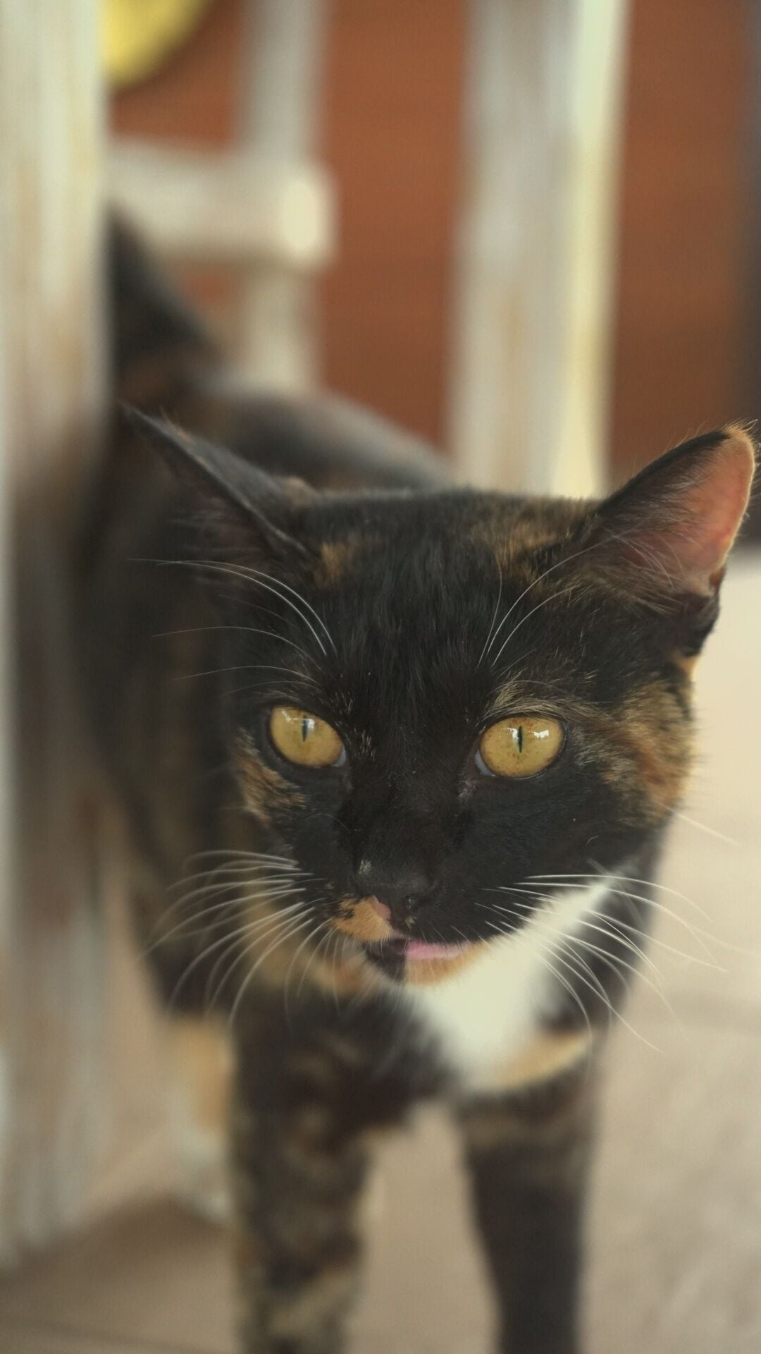 Foto - Kayangan Villa Ubud