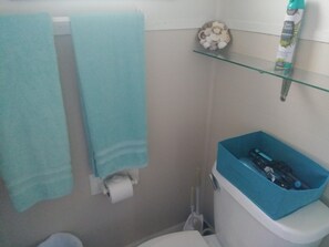 Bathroom - Pool House (Ocala)