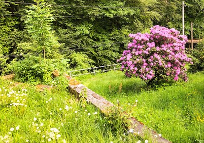 Bungalow in a quiet forest location right on the hiking trail 
