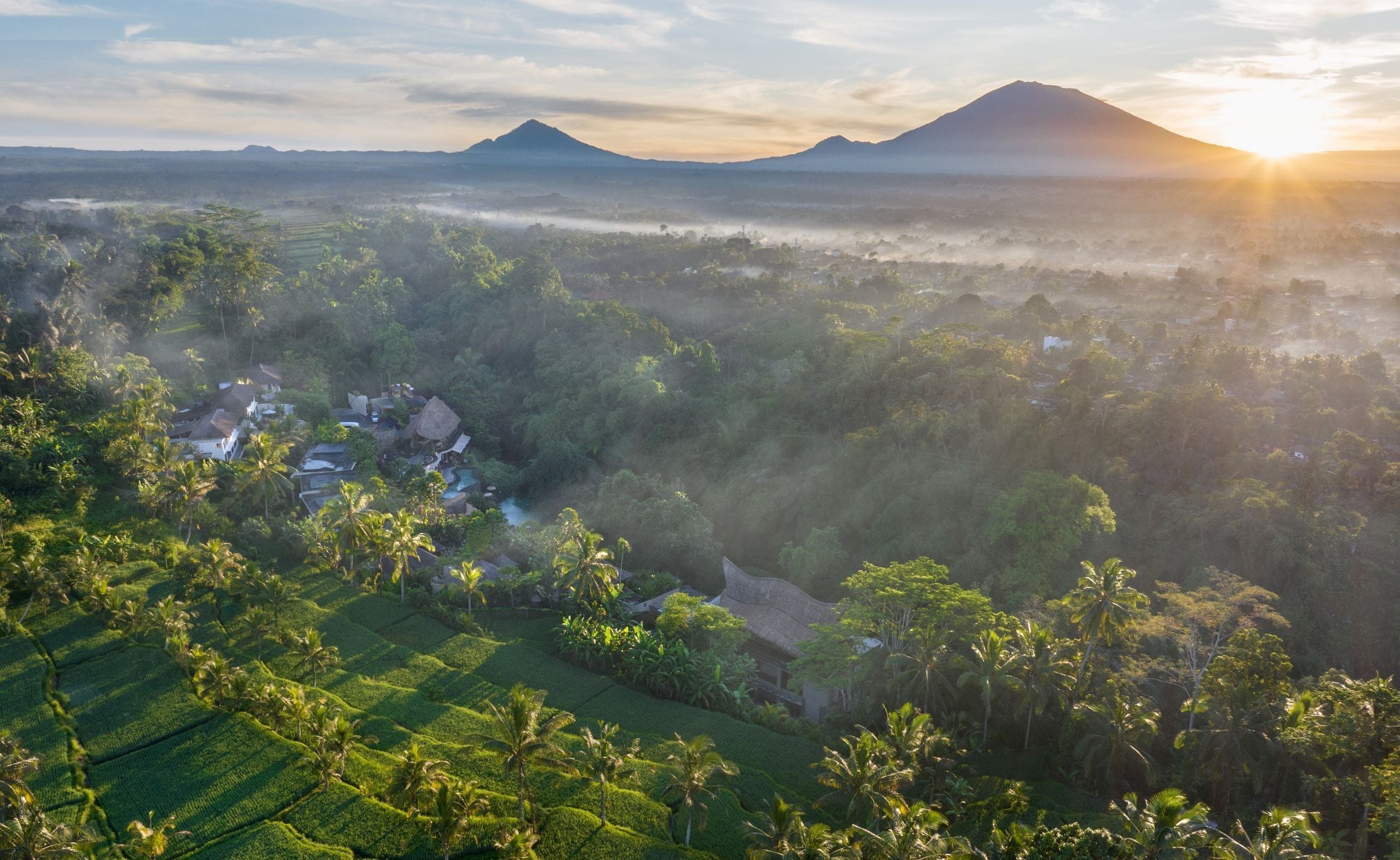 A lush landscape with terraced fields and a mountain in the background.