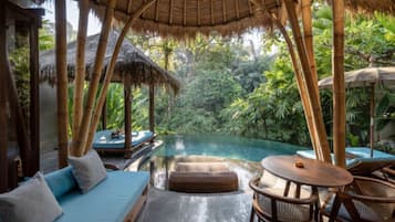 Grand 1 Bedroom Private Pool Villa with River View | Private pool