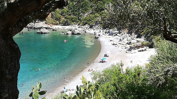 A coastal beach with clear turquoise waters, rocky shore, and lush greenery.