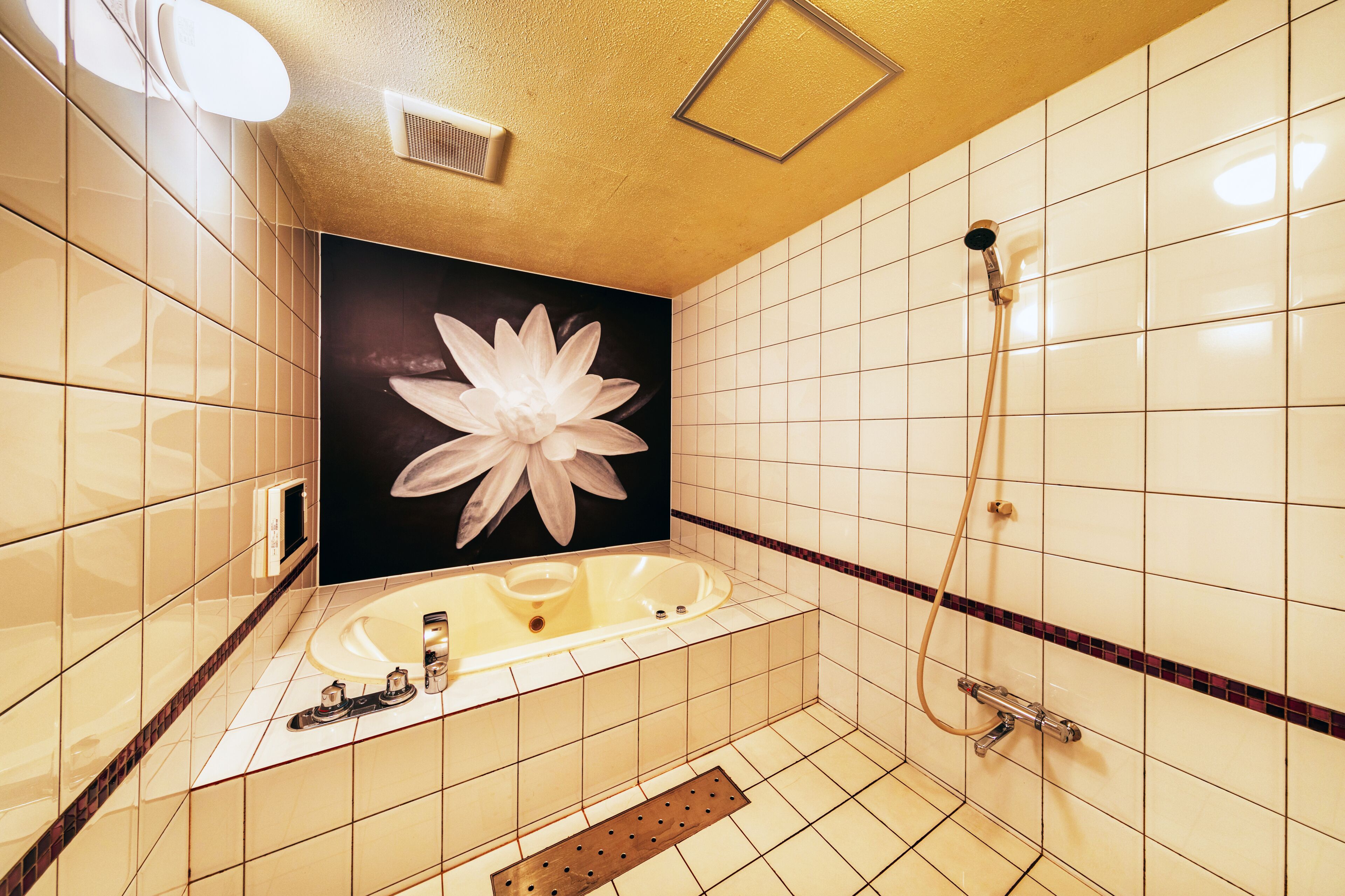 Un baño con una bañera grande, ducha e inodoro de pared.