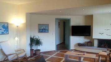 Televisión, chimenea, reproductor de DVD, libros