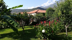 Un jardín exuberante con diversas plantas y flores, un césped bien cuidado y una casa con techo de tejas rojas al fondo.