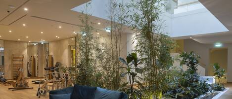 A spacious indoor area with a high ceiling, a blue sofa, and various exercise equipment.