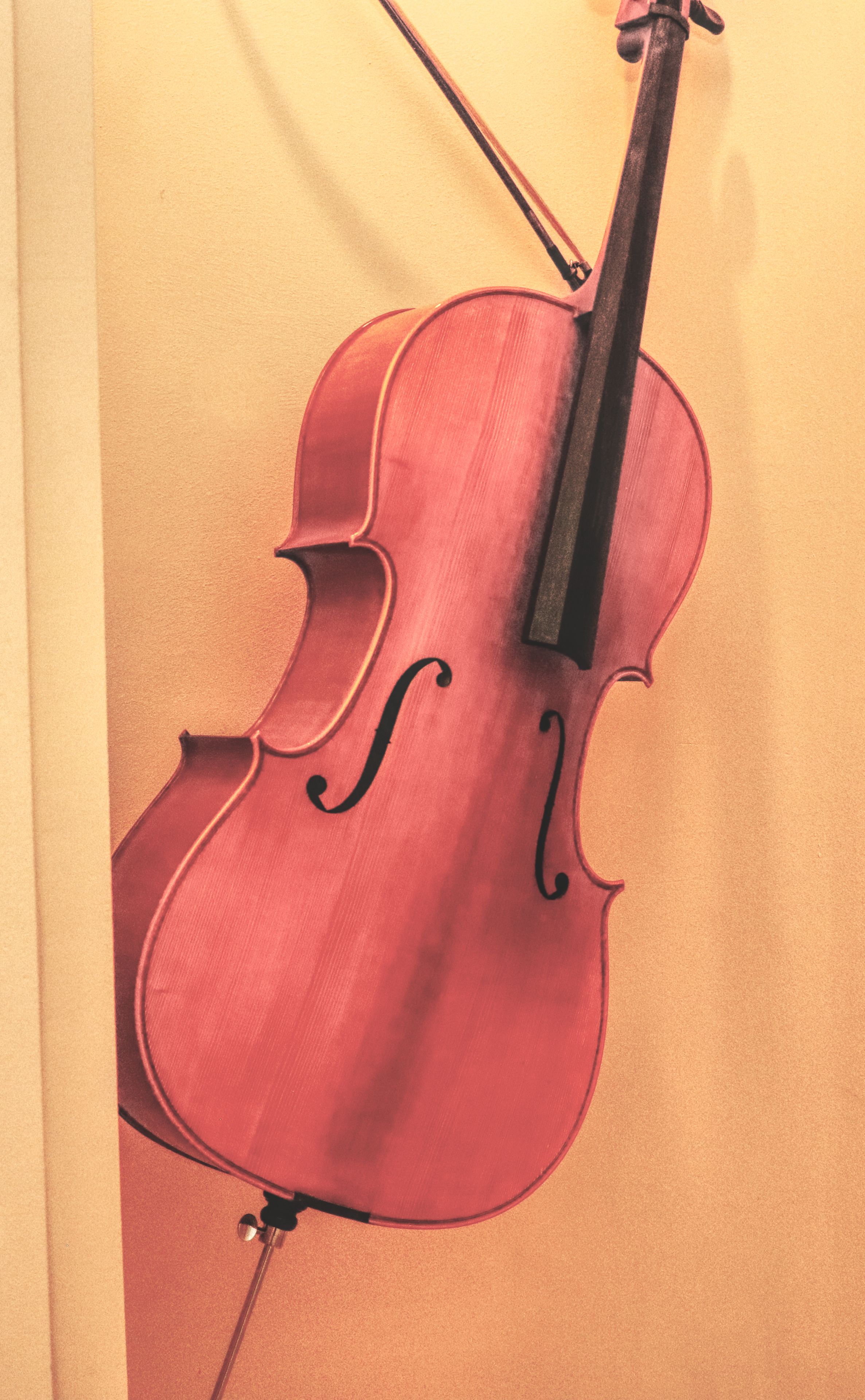 A cello leaning against a wall.
